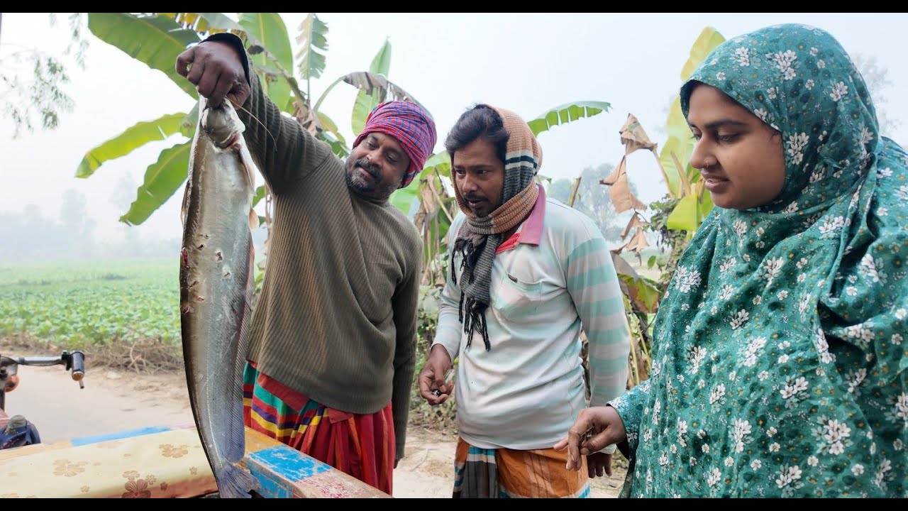 কত টাকা দিয়ে কিনলাম এই বোয়াল মাছ টা | Doyel Agro