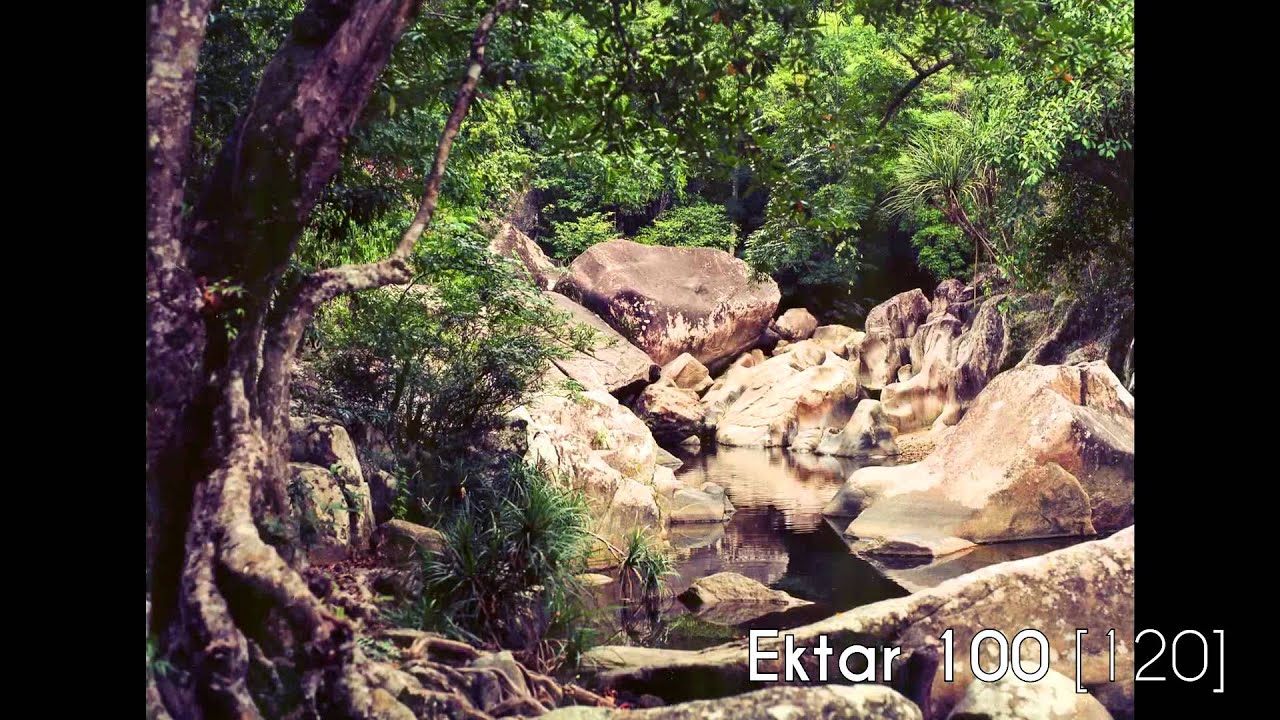 Photo Adventure - A Look at Gear & Film [Episode 9]