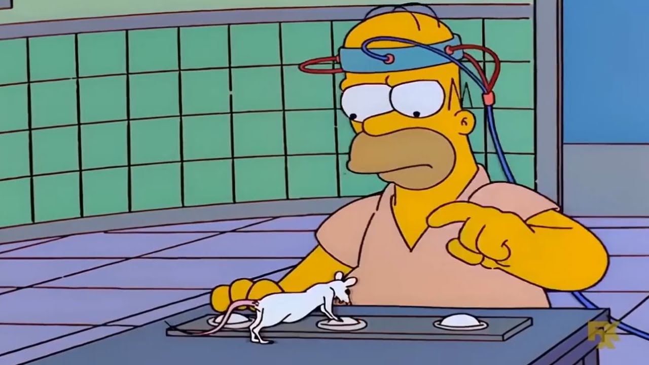 Homer Gets Smarter | THE SIMPSONS SEASON 12 EP 9