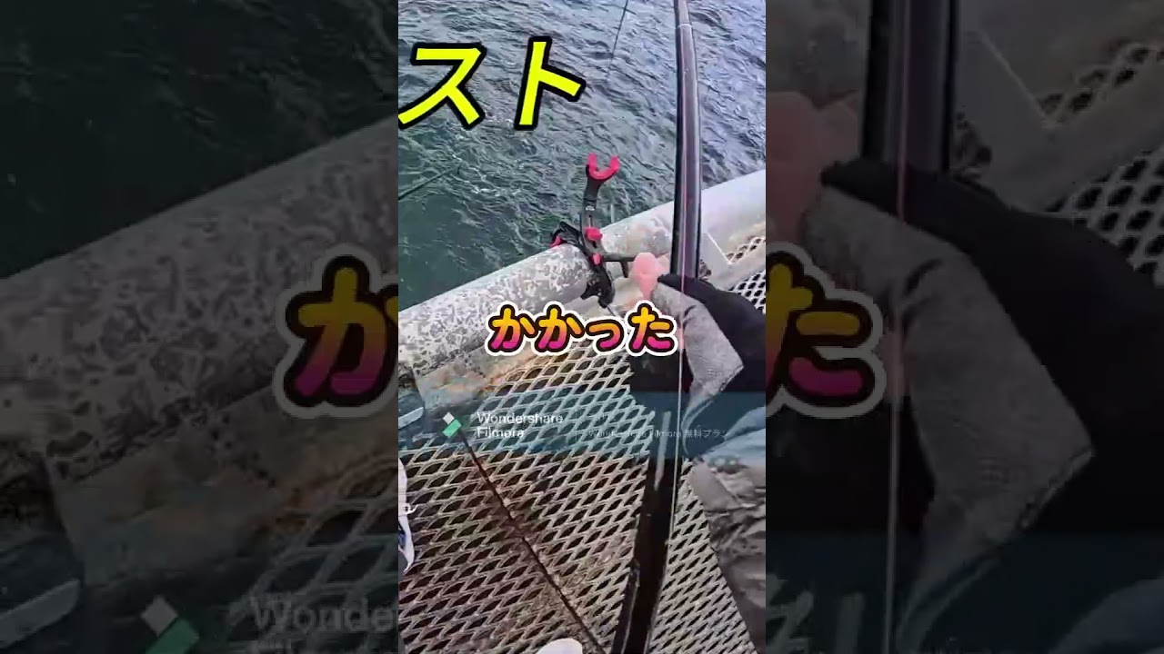 とっとパーク小島　冬の大物　ヒラメ　 