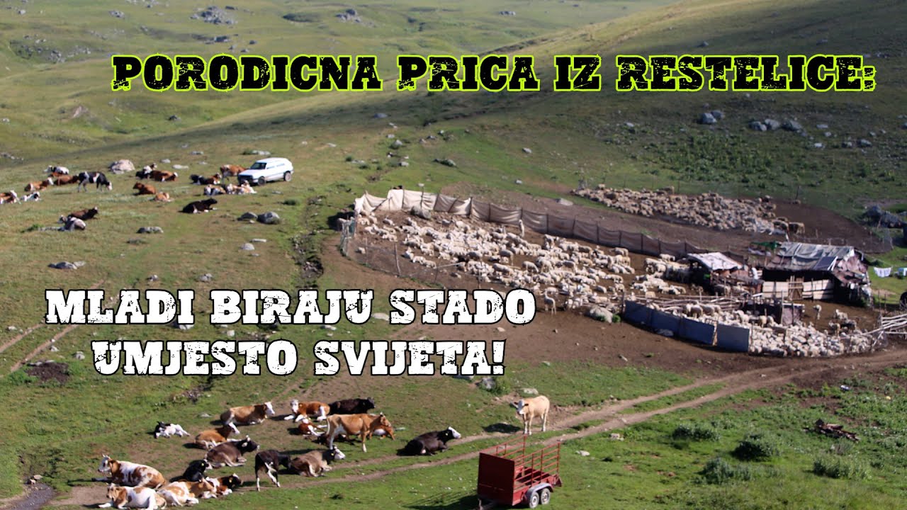 Porodična priča iz Restelice: Mladi biraju stado umjesto svijeta!