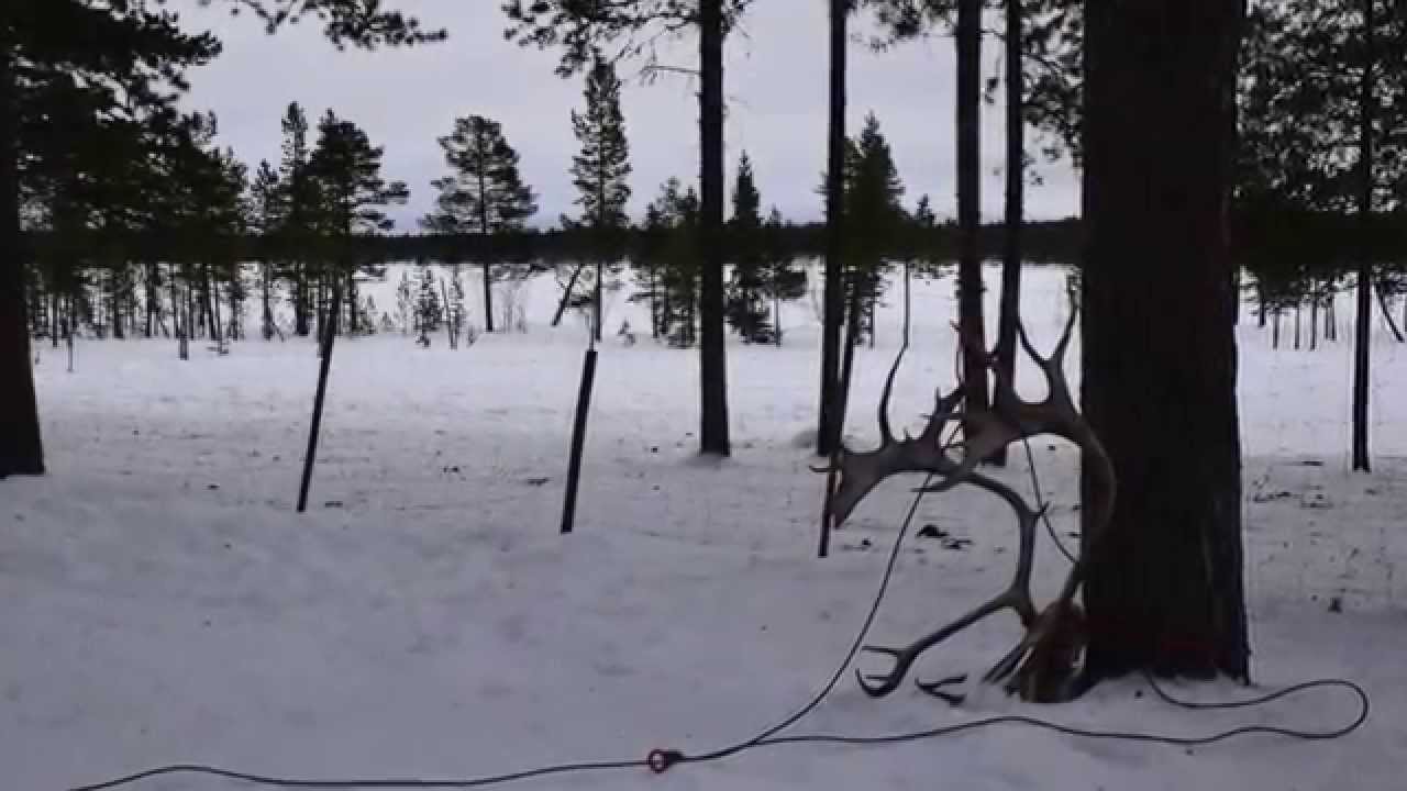 68 degrees North Nellim Wilderness Lodge