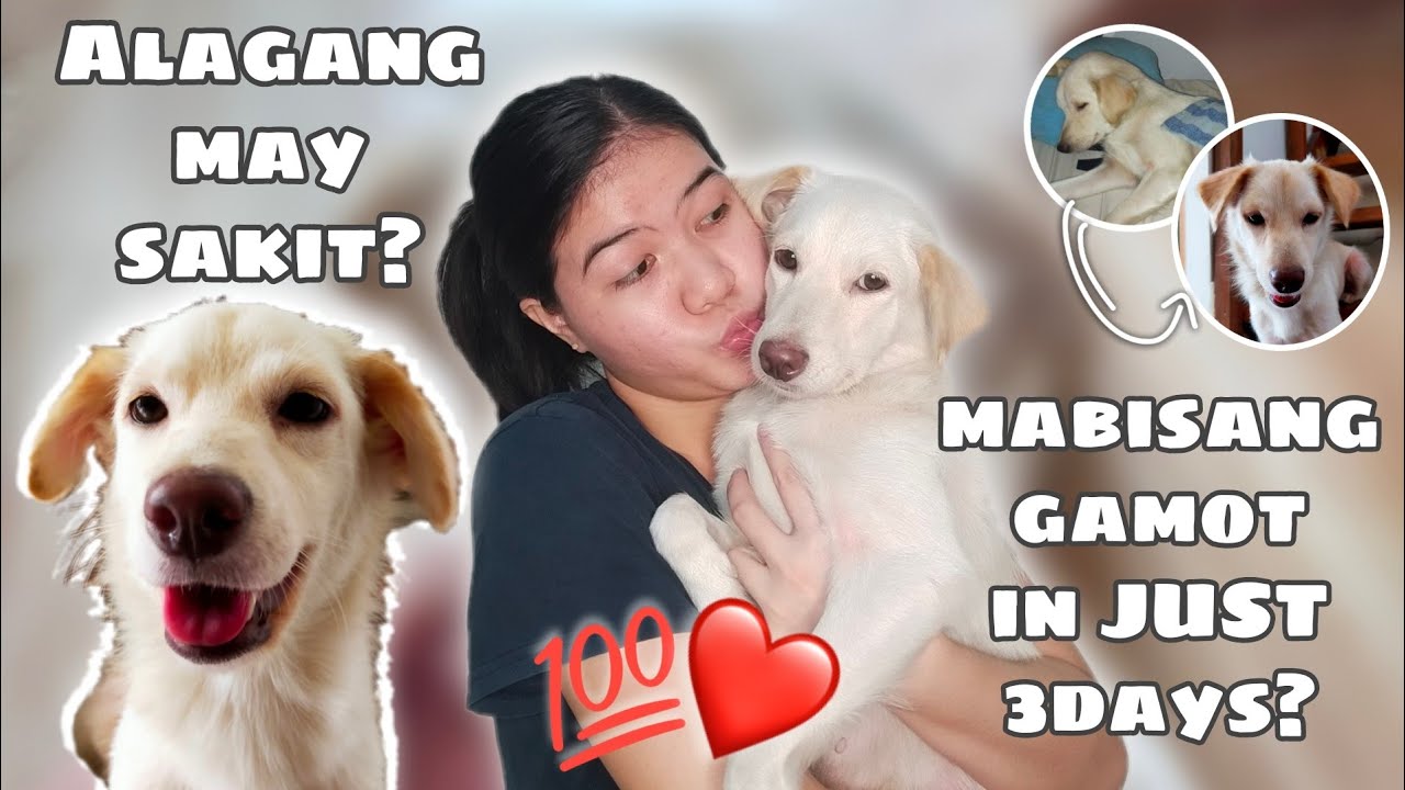 MABISANG GAMOT IN JUST 3DAYS??(GALING!)|MLoysa L.