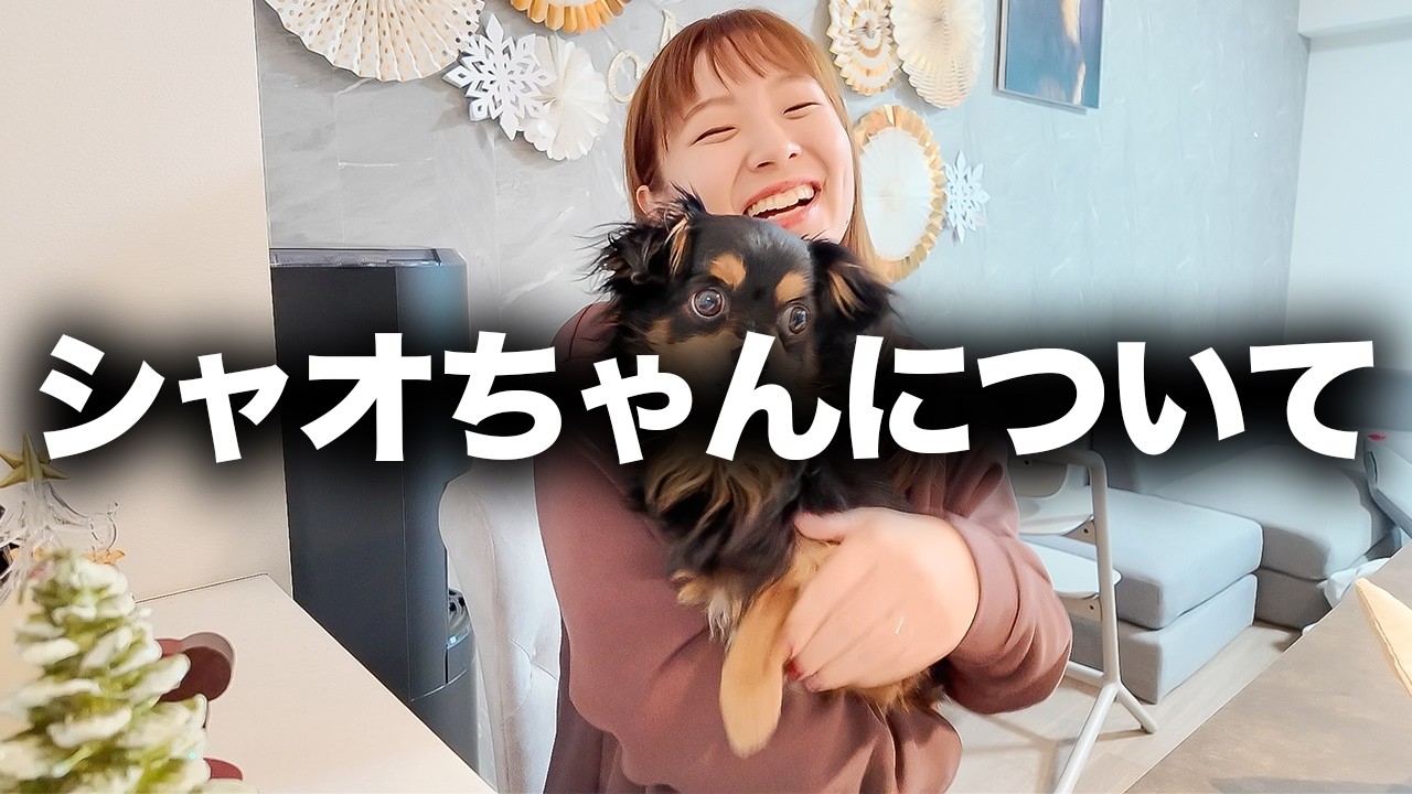 シャオちゃんについて改めてお話しするね