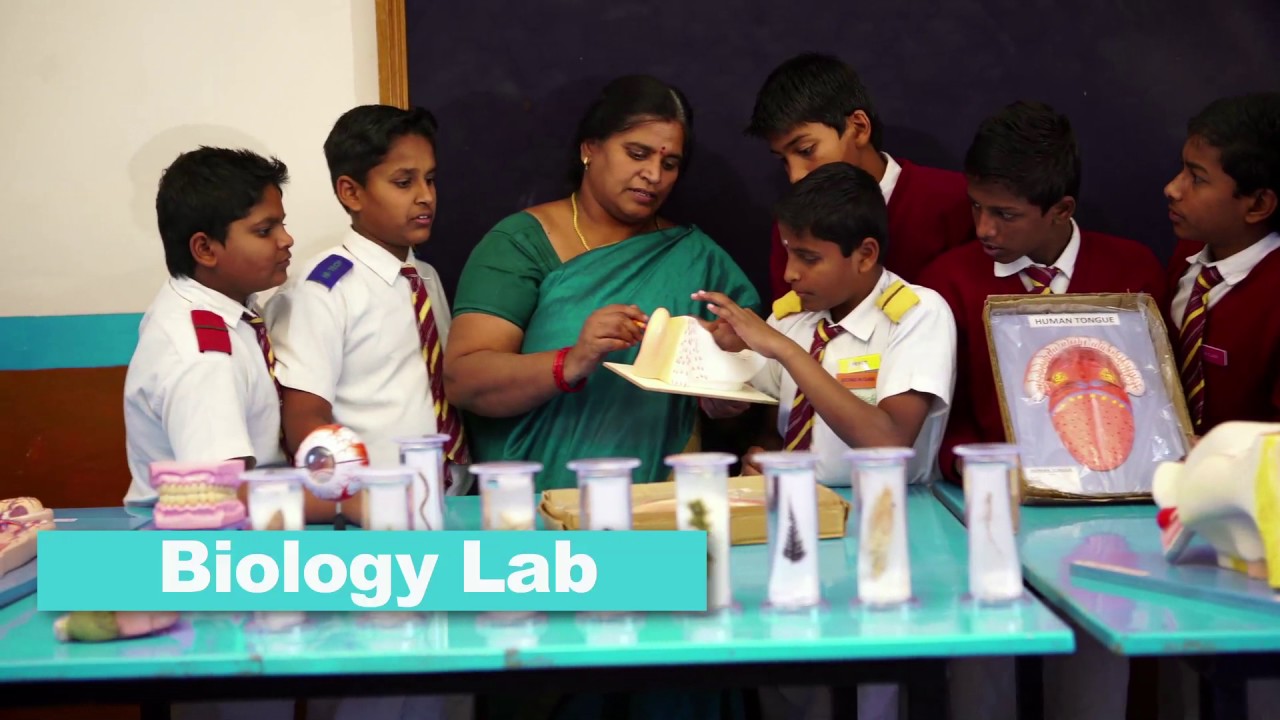 Hitech school campus