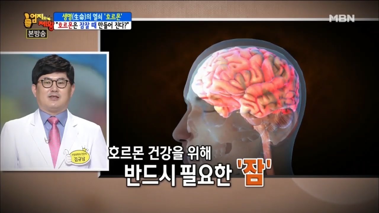 숙면이 양보다 질인 이유 [엄지의 제왕 121회]