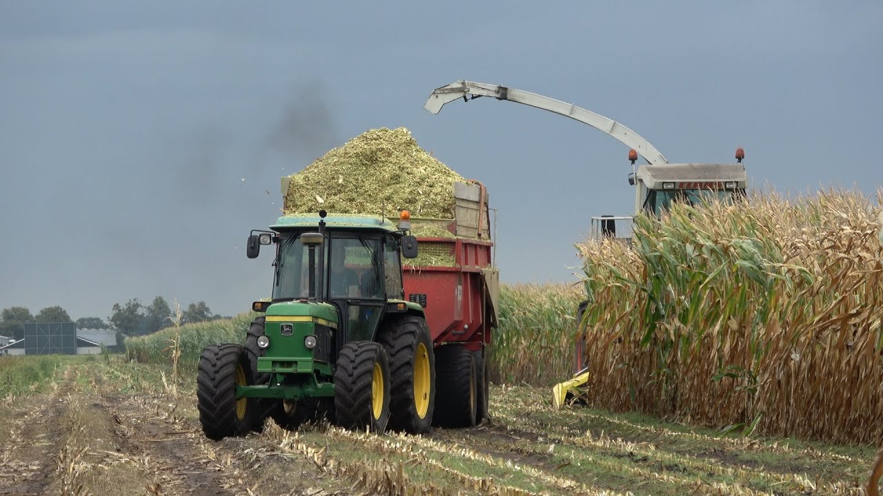 Mais hakselen met een Claas Jaguar 860 en John Deere trekkers bij melkveebedrijf Kamphuis (2025)