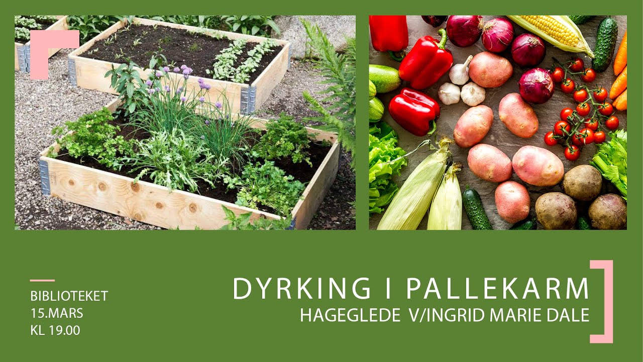 Dyrking i pallekarm: Hageglede v/Ingrid Marie Dale - Tysvær Bibliotek