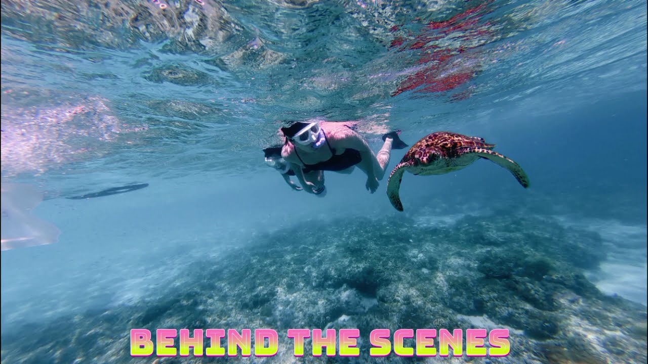 04/03/2025 KIM A.REUM