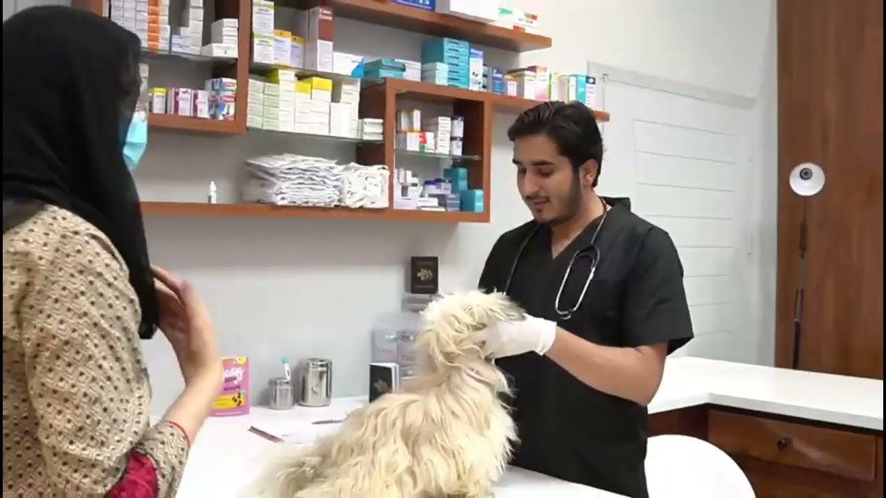 Pet Village Animal Hospital, Karachi