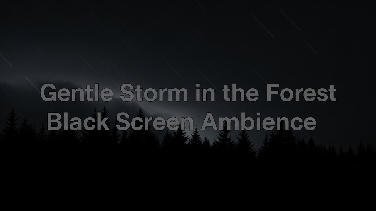 Gentle Storm in the Forest — Black Screen Ambience