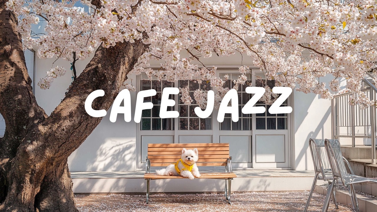 얊아진 옷차림과 따뜻한 여유, 일요일의 음악 | Jazz Piano | Playlist | 카페 음악 | 로비 음악