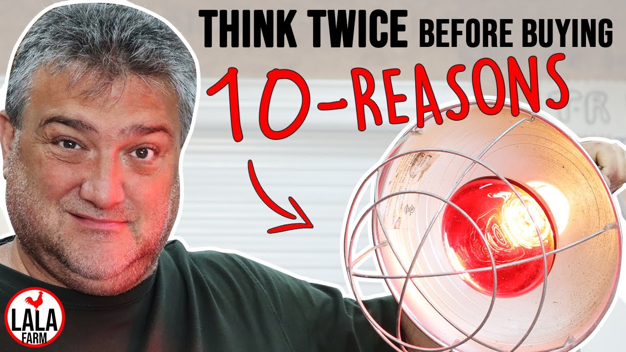 10 THINGS You DONT KNOW About Your Brooder Heat Lamp • Baby Chicks