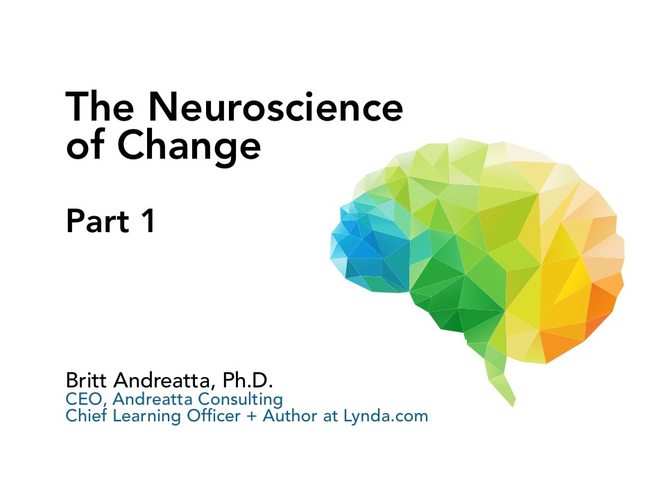Change Matrix (Neuroscience of Change Part 1) | Britt Andreatta