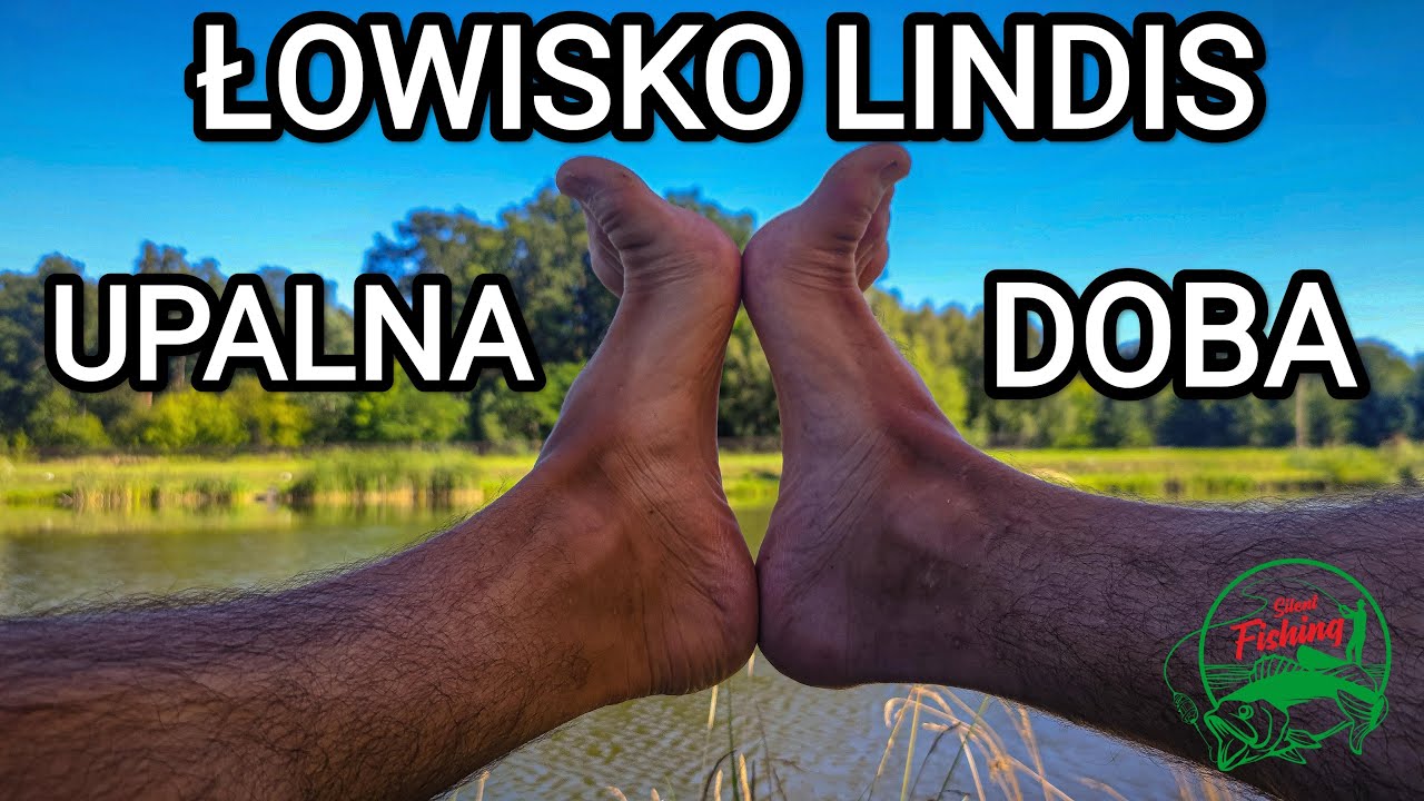 PB karpia na PRZYPON za 3 zł! HOLE i ROLKI, dublet na łowisku LINDIS. LIS WYJADŁ NAM CIASTKA NOCĄ!