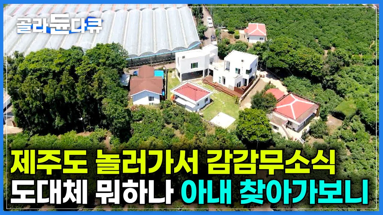 서울 생활에 지쳐 제주도로 간 아내가 돌아오지 않는다!｜도대체 뭐하고 지내나 놀러 갔다가 제주도의 매력에 빠져 둘 다 해녀가 된 부부｜제주도 해녀 부부｜건축탐구 집｜#골라듄다큐
