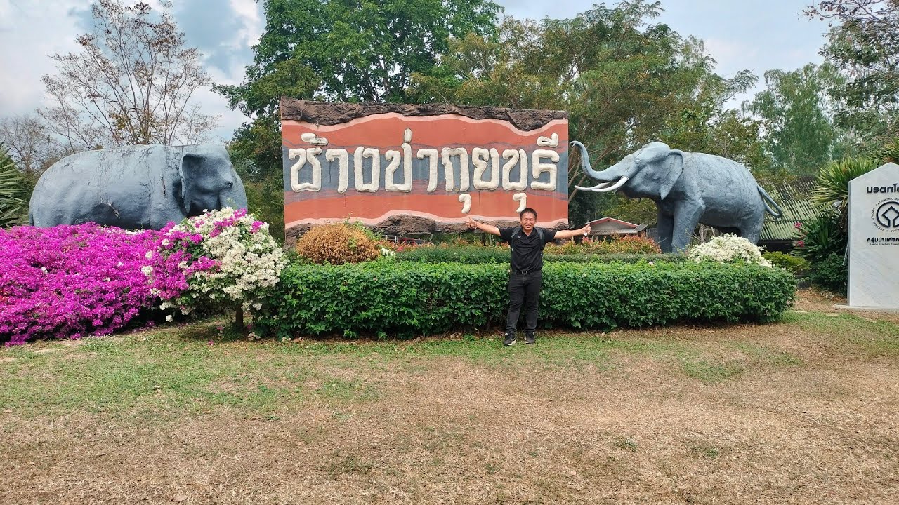 เข้าป่ากุยบุรีตามเส้นทางออฟโรด ตามหาดูช้างป่าชมวัวกระทิง