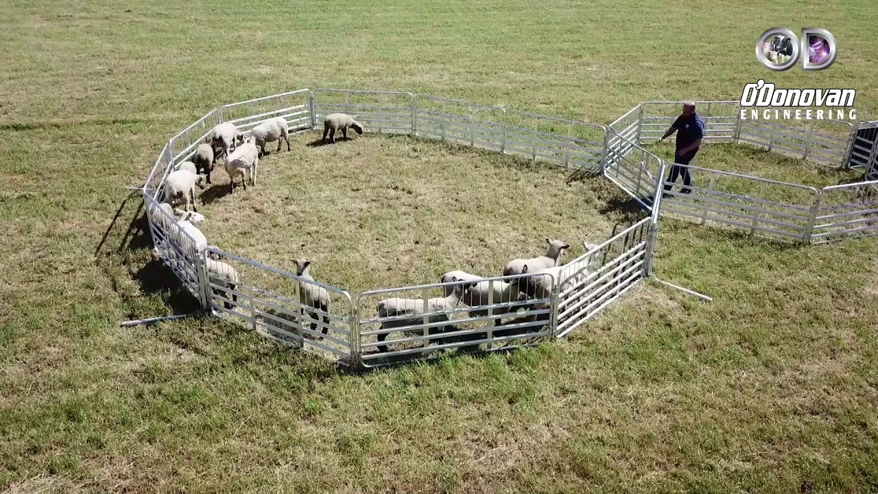 Prattley 10ft Yard Demo