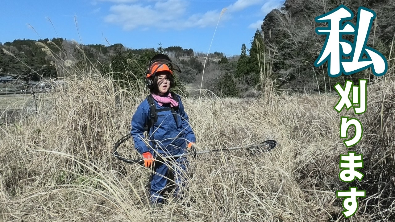 耕作放棄地みたいな、ワラビ畑を草刈りしました