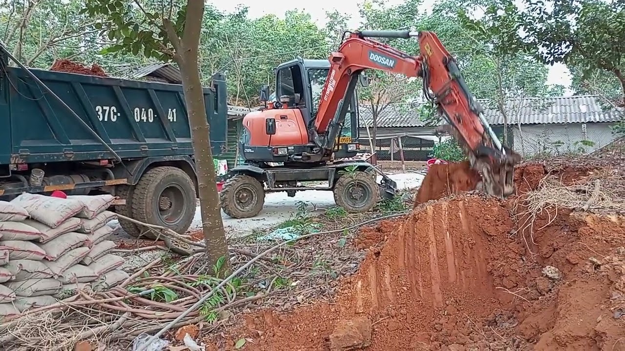 @ múc đất sân vườn cặp đôi Hoàn hảo