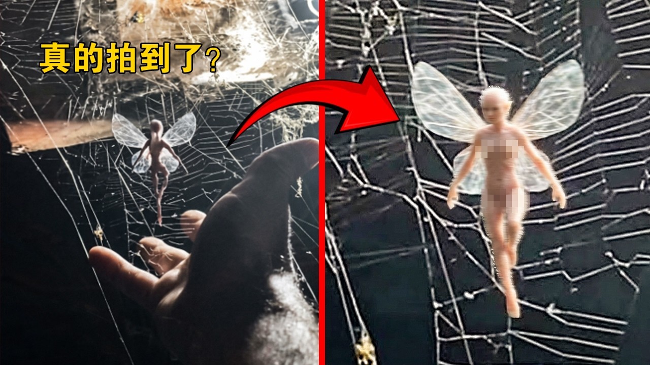 鏡頭真的拍到精靈了？世界各地流出的離奇畫面太不對勁