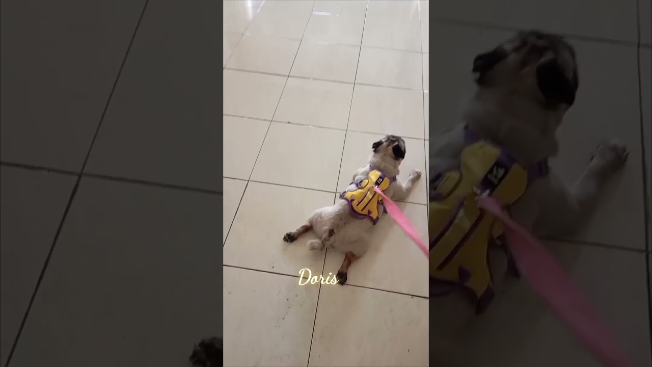 Mặp nữa gòy xao 