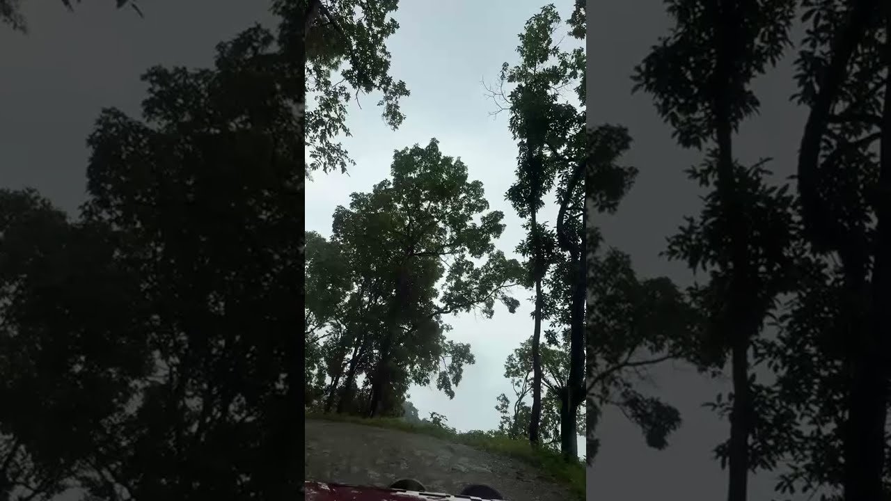 Alina Thapa is live
