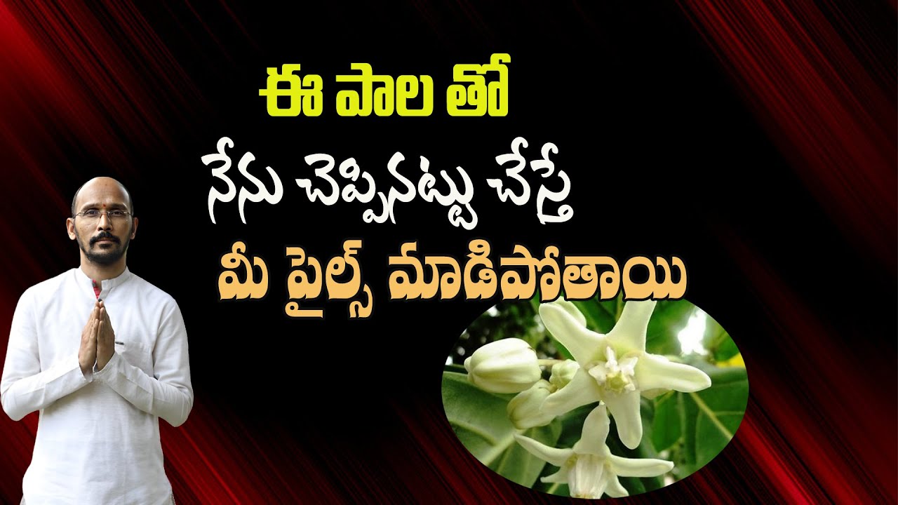 ఈ పాల తో నేను చెప్పినట్టు చేస్తే మీ పైల్స్ మాడిపోతాయి | Piles Treatment| Dr.Madhu Babu Health Trends