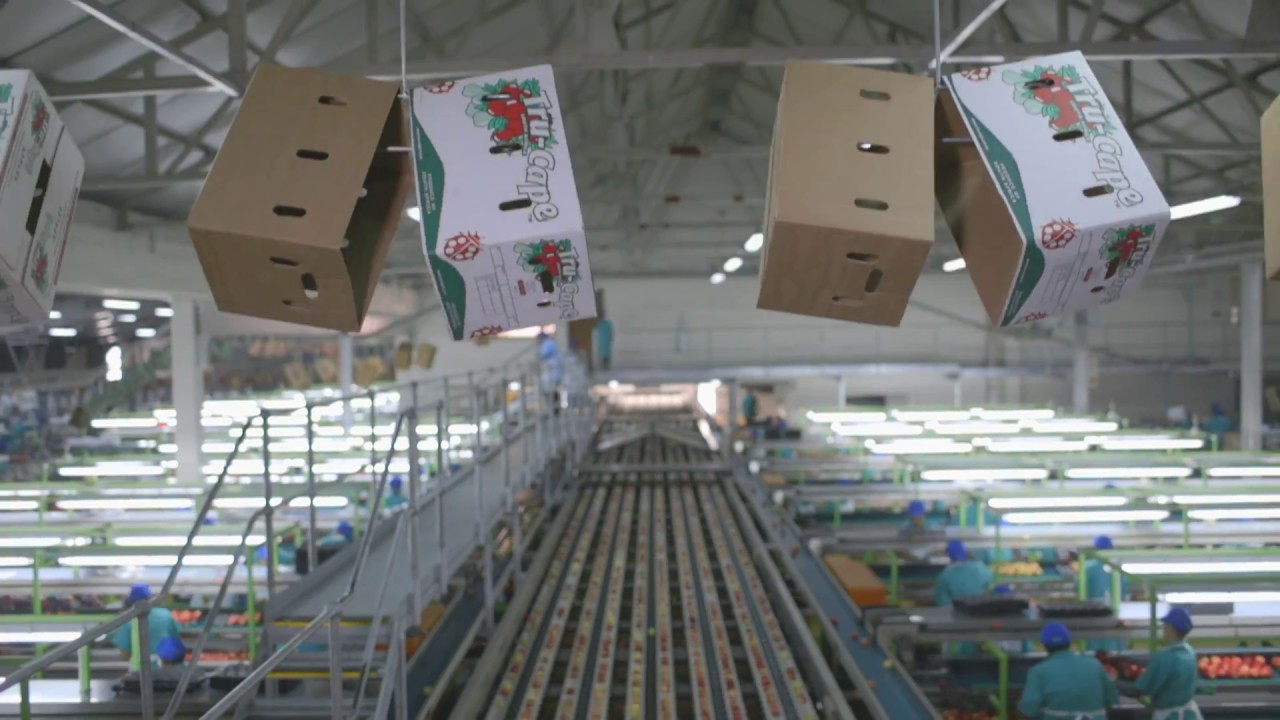 Tru-Cape Corporate Video