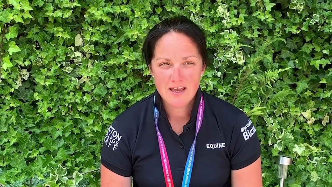 Study Equine at Bicton College VOD 2020