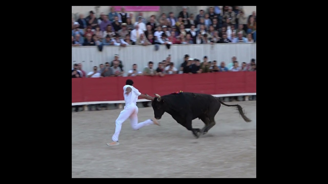 enorme raset de joachim cadenas  avec vicaire a ARLES