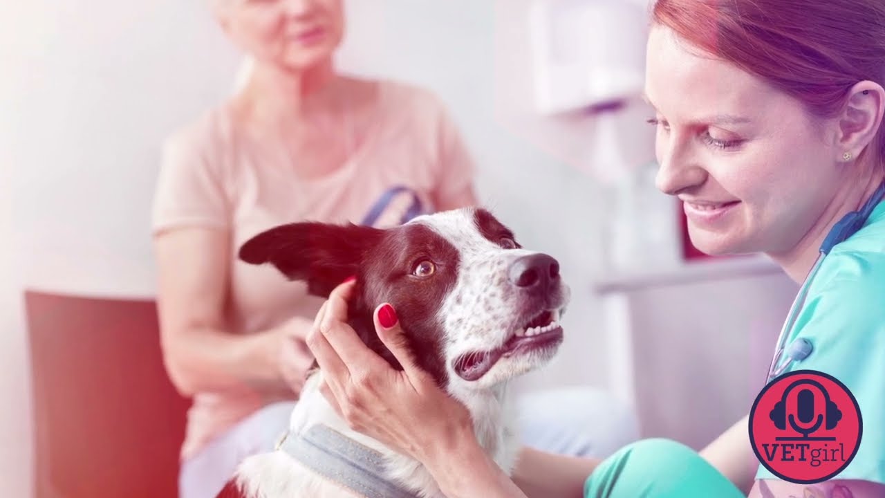 5 Tips on Handling Angry Veterinary Clients