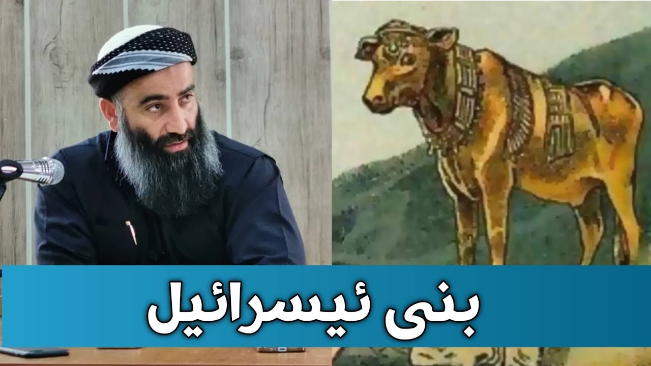 بنی ئیسرائیل لەدوای ڕزگاربونیان لە فیرعەون چۆن دەستیان کرد بە گوێرەکە پەرستی