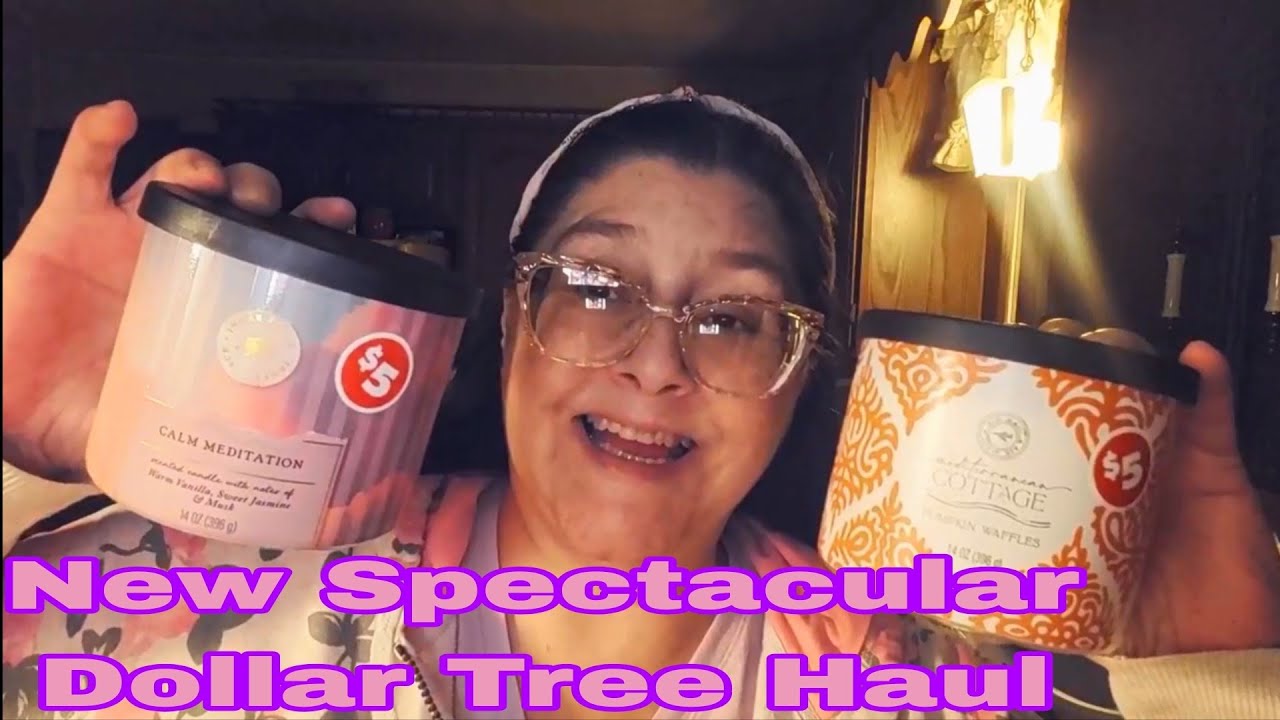 Новая впечатляющая покупка в Dollar Tree