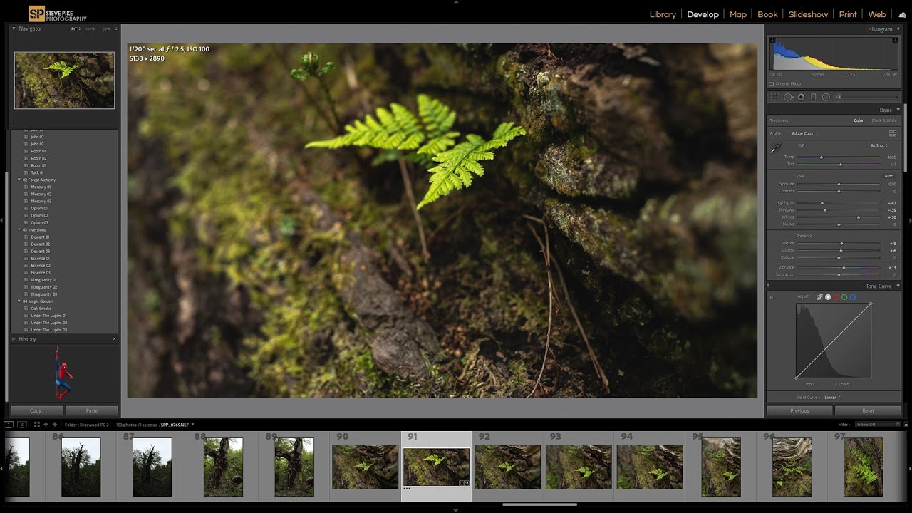 Relaxing Music for Photo Editing · Post Processing Music with Photos