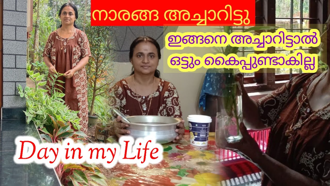 നാരങ്ങ അച്ചാറിന് ഒട്ടും കൈപ്പുണ്ടാകാതിരിക്കാനുള്ള ടിപ്സ് | Day in my Life | Kerala Village Lifestyle