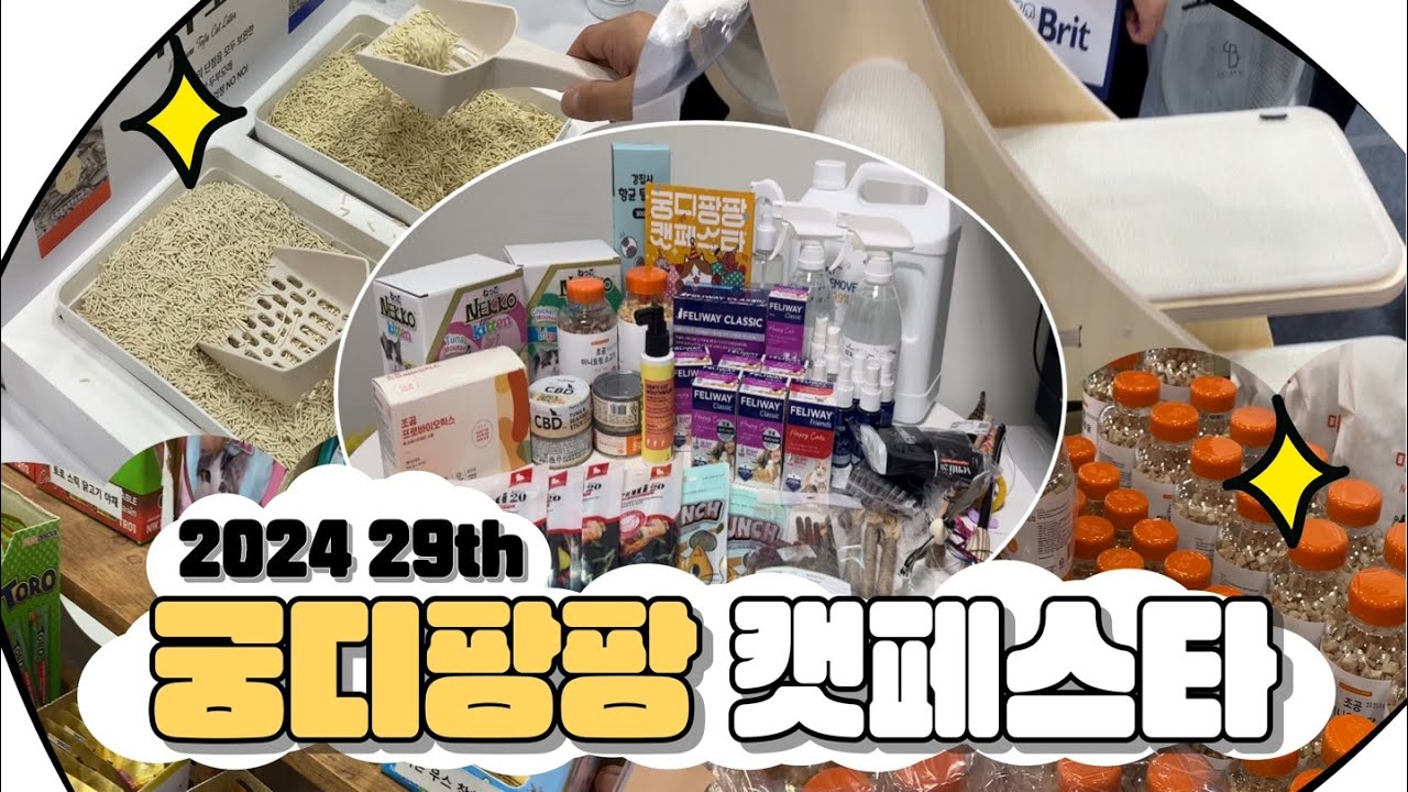 [V-log] 전국 집사 총집합! 2024 궁디팡팡 캣페스타 털기!