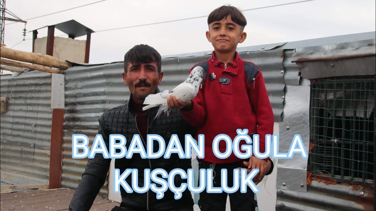 BÖLÜM 1 / Van'da nadir bulunun Tek Göz Güvercinler ; Saim KIZILTAŞ 'ın güvercinleri.