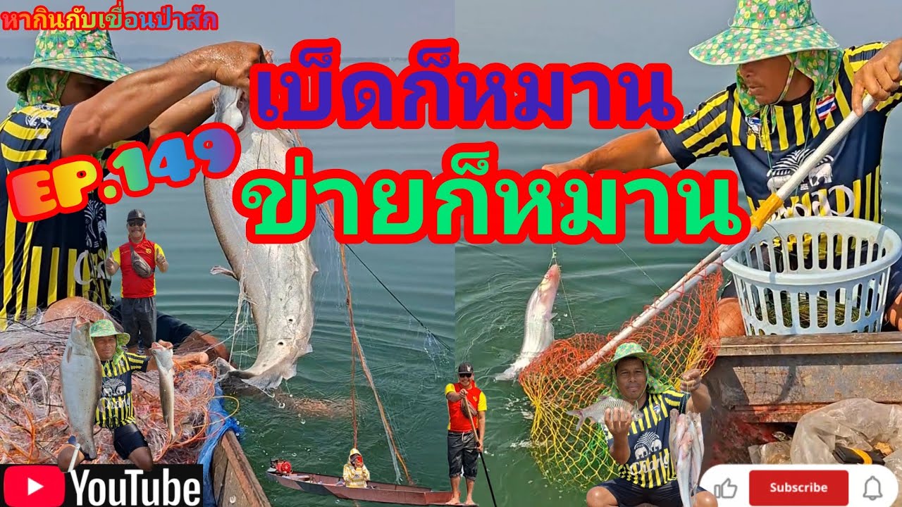 EP.149 เบ็ดก็หมาน ข่ายก็หมาน #fishing  #เบ็ดราว #นั่งเรือตกปลา #หากินกับเขื่อนป่าสัก 