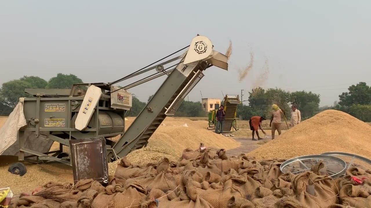 Selling Paddy in Punjab Mandi | Full Process Explained | Real Farmer Life Vlog