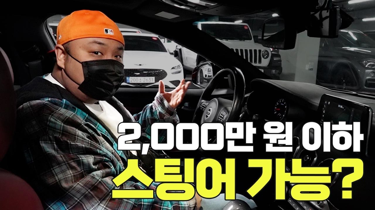 결국 스팅어 풀옵션으로 결정했습니다