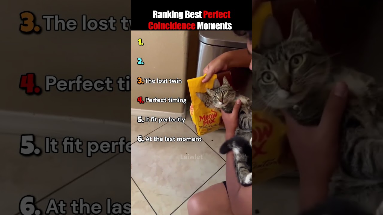 Ranking the Best Coincidence Moments #shorts