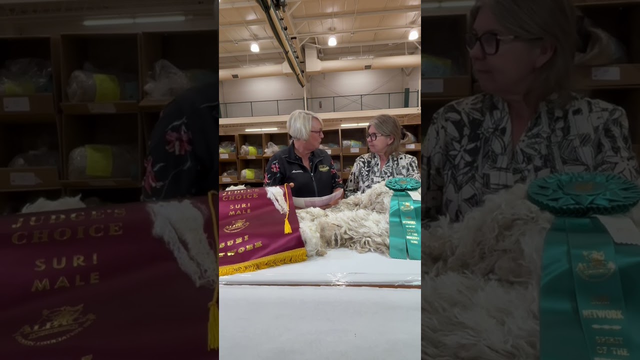 Awards 2025 All Suri Fleece Show