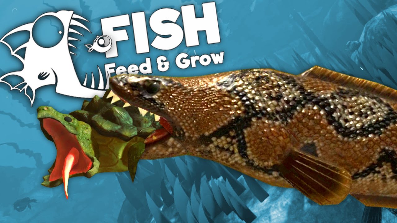 Giant Snakehead Eats Snapping Turtle! - Feed and Grow Fish Gameplay