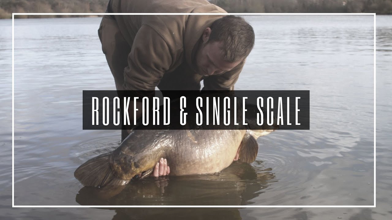 История о крупном карпе | 02 | Rockford & Single Scale | Трейлер