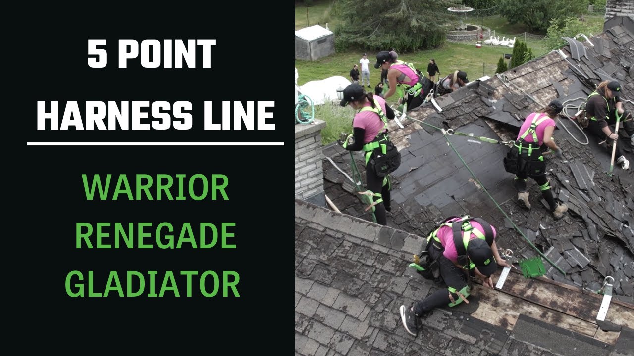 5 Point Harness