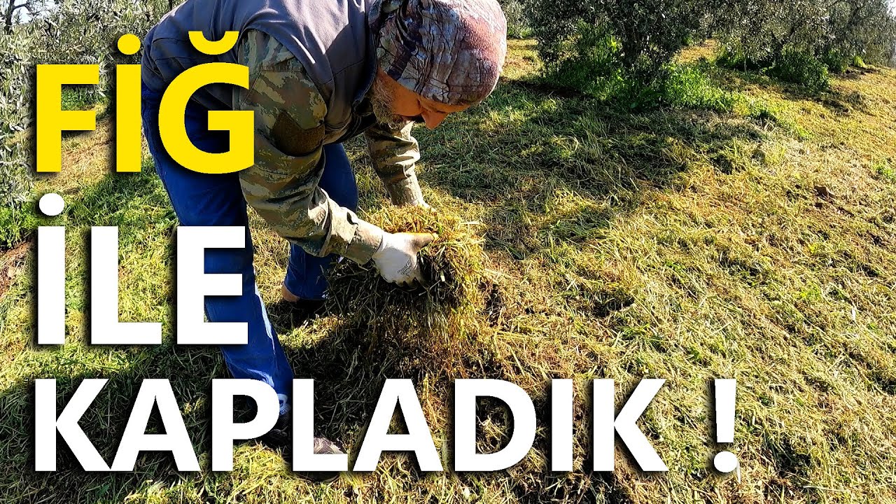 Yeşil Gübrenin Sağladığı Avantajlar
