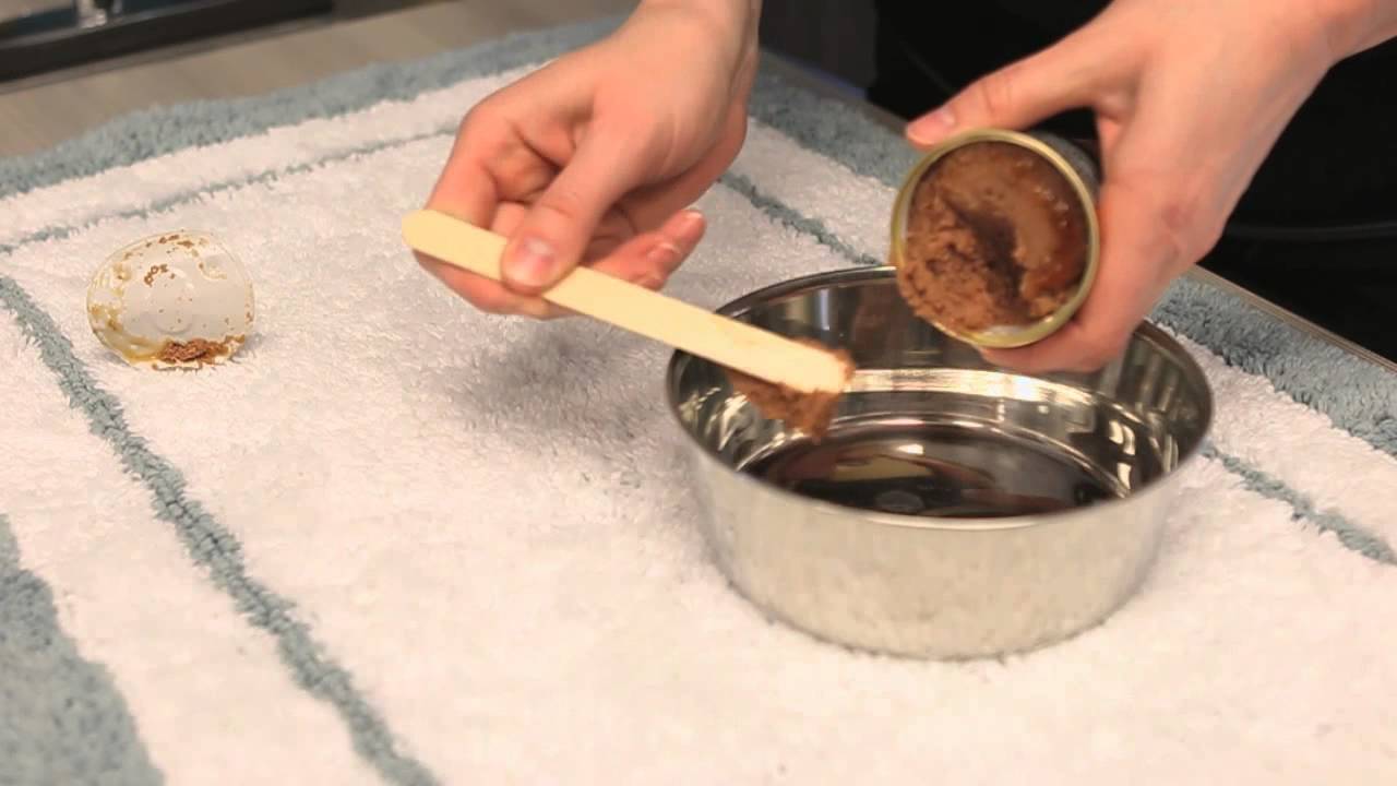 Diabetic Diet for Cats : General Cat Health