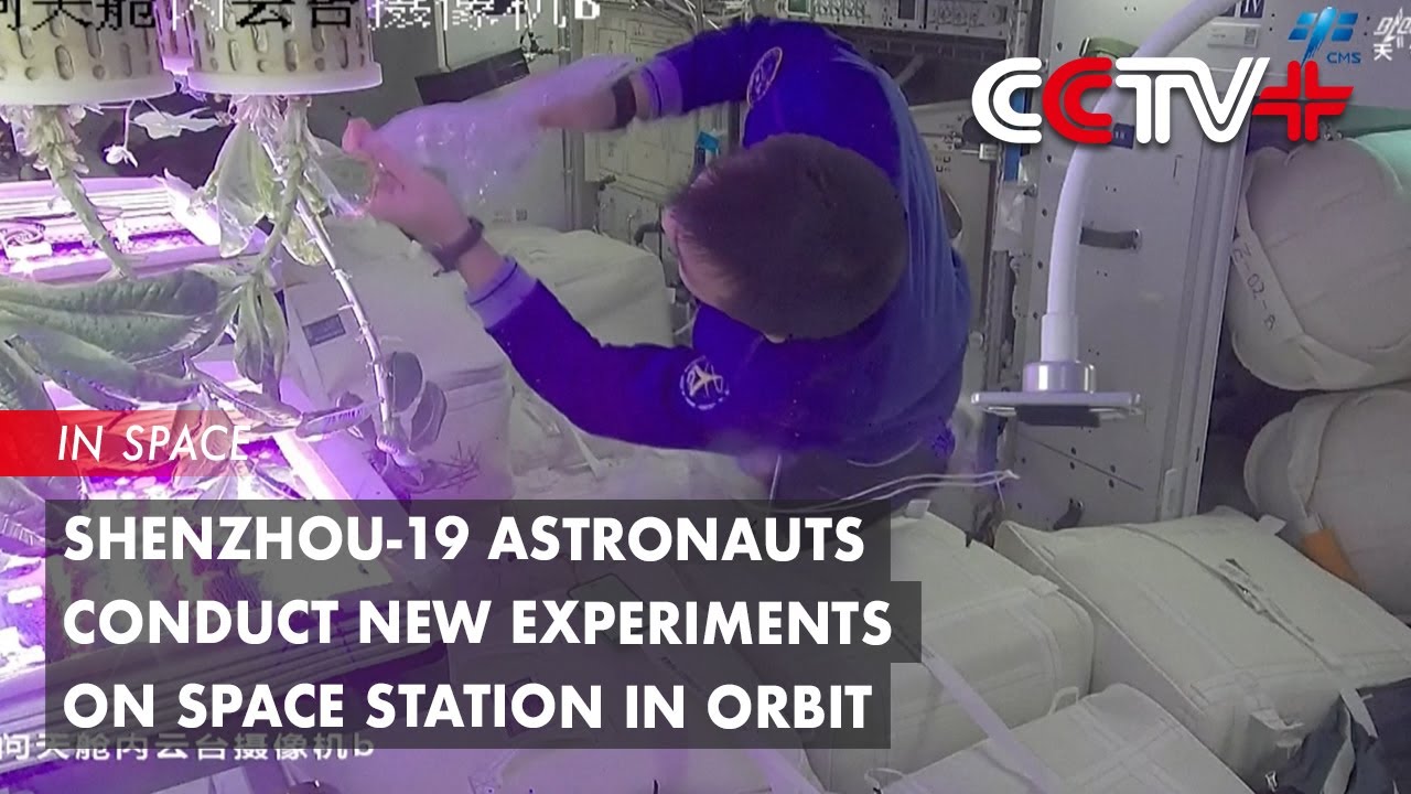 Shenzhou-19 Astronauts Conduct New Experiments on Space Station in Orbit