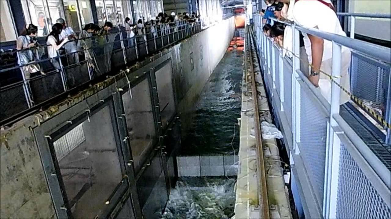 2013/07/27(土) 波高 1m 津波実験 at 横須賀・港湾空港技術研究所一般公開 (注意: 0:29 津波の衝撃音があります)